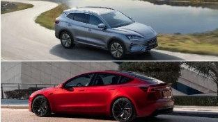 Tesla vs BYD Car